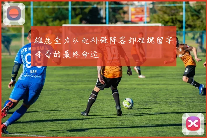 雄鹿全力以赴补强阵容却难挽留字母哥的最终命运