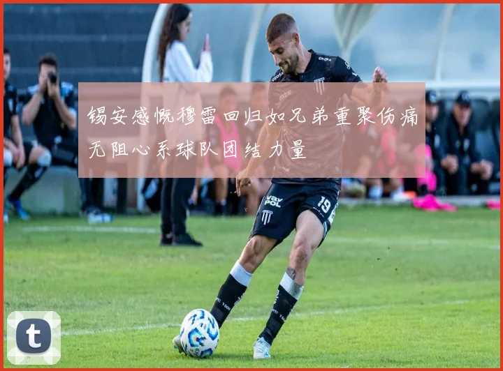 锡安感慨穆雷回归如兄弟重聚伤痛无阻心系球队团结力量