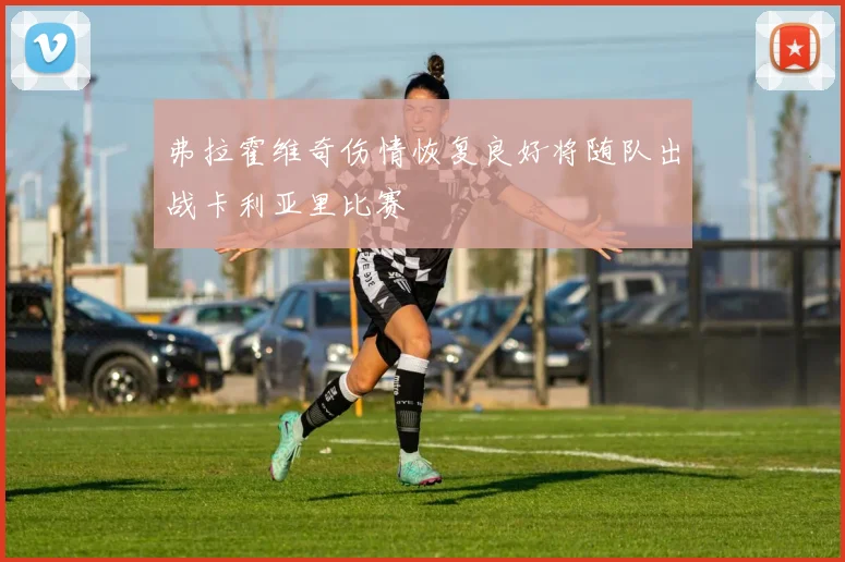 弗拉霍维奇伤情恢复良好将随队出战卡利亚里比赛