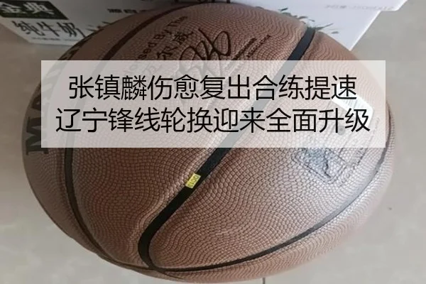 张镇麟伤愈复出合练提速 辽宁锋线轮换迎来全面升级 - top